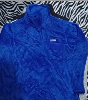 Patagonia vest And Jackets 22 Pieces